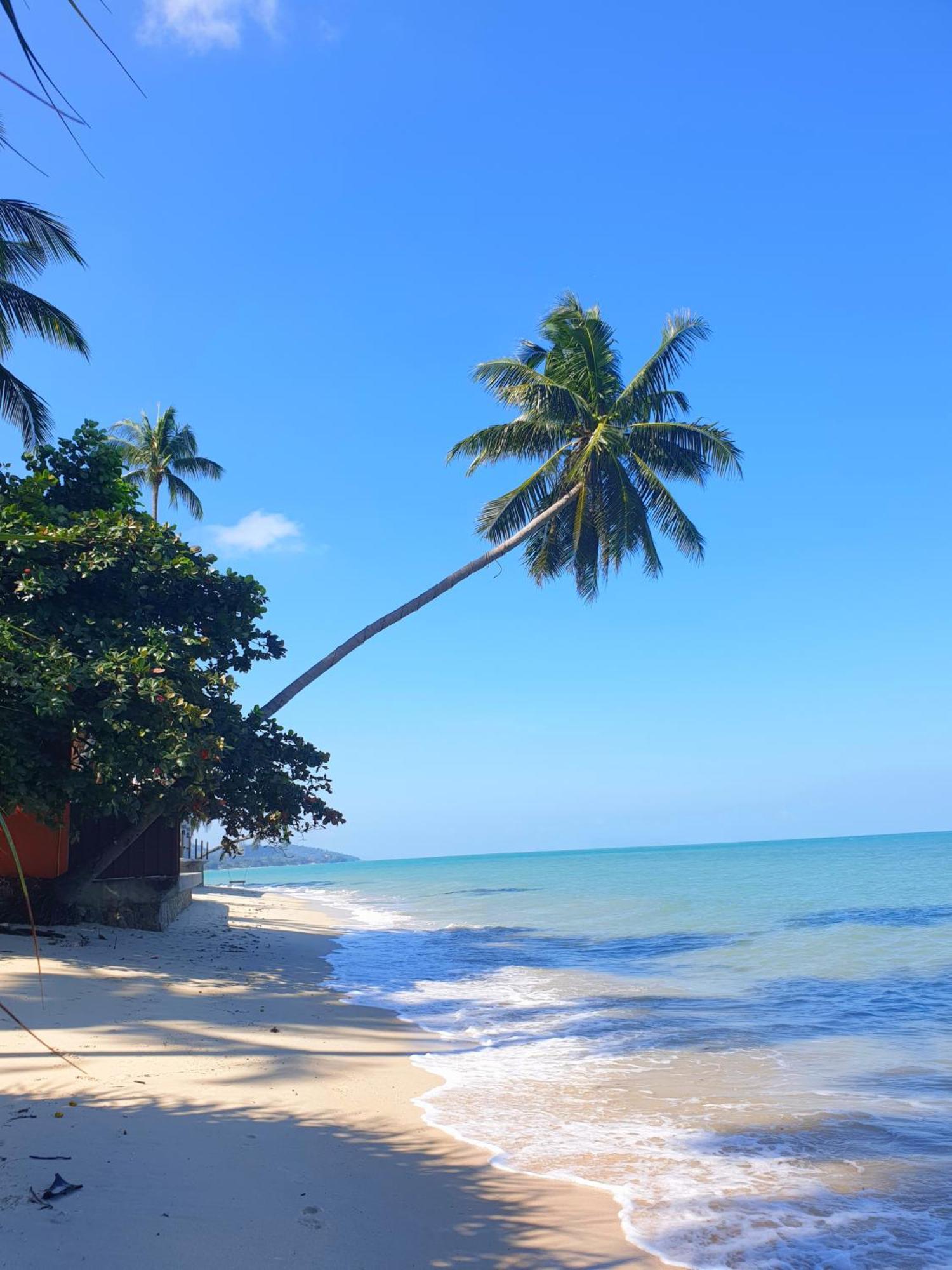 مبيت وإفطار شاطئ مينام Samui Blue Bird المظهر الخارجي الصورة