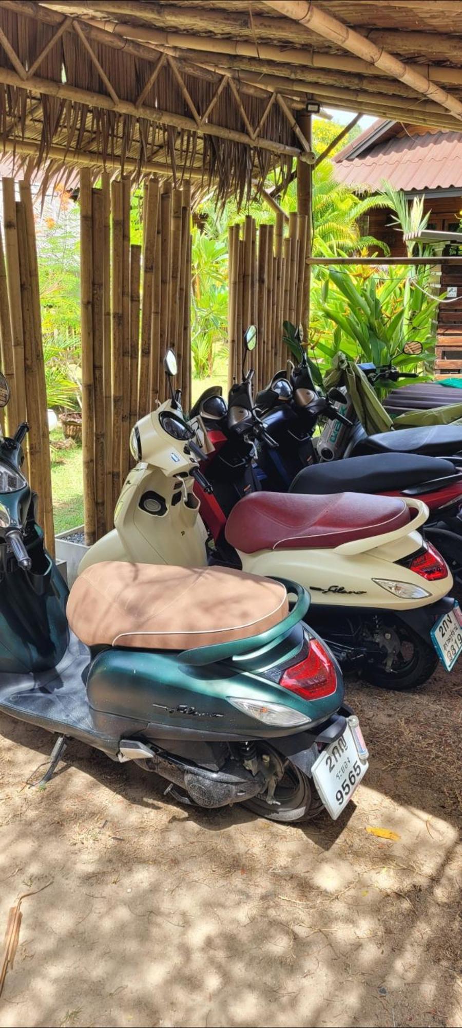 مبيت وإفطار شاطئ مينام Samui Blue Bird المظهر الخارجي الصورة